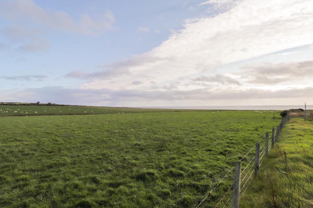 Photo of Others in Lybster