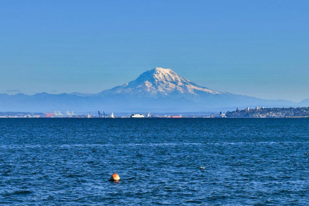 Photo of Others in Gig Harbor