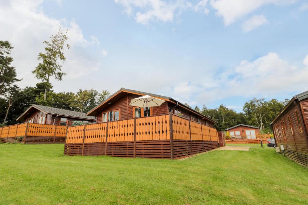 Photo of Others in Swarland