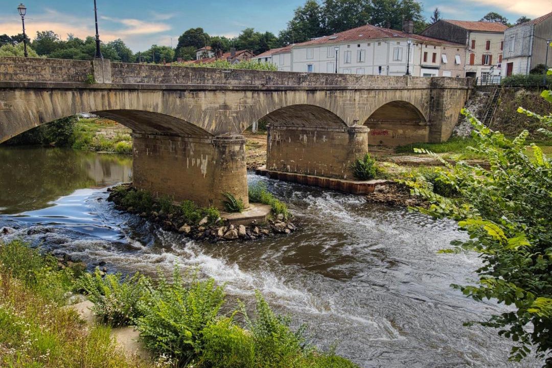 Photo of Others in Tartas