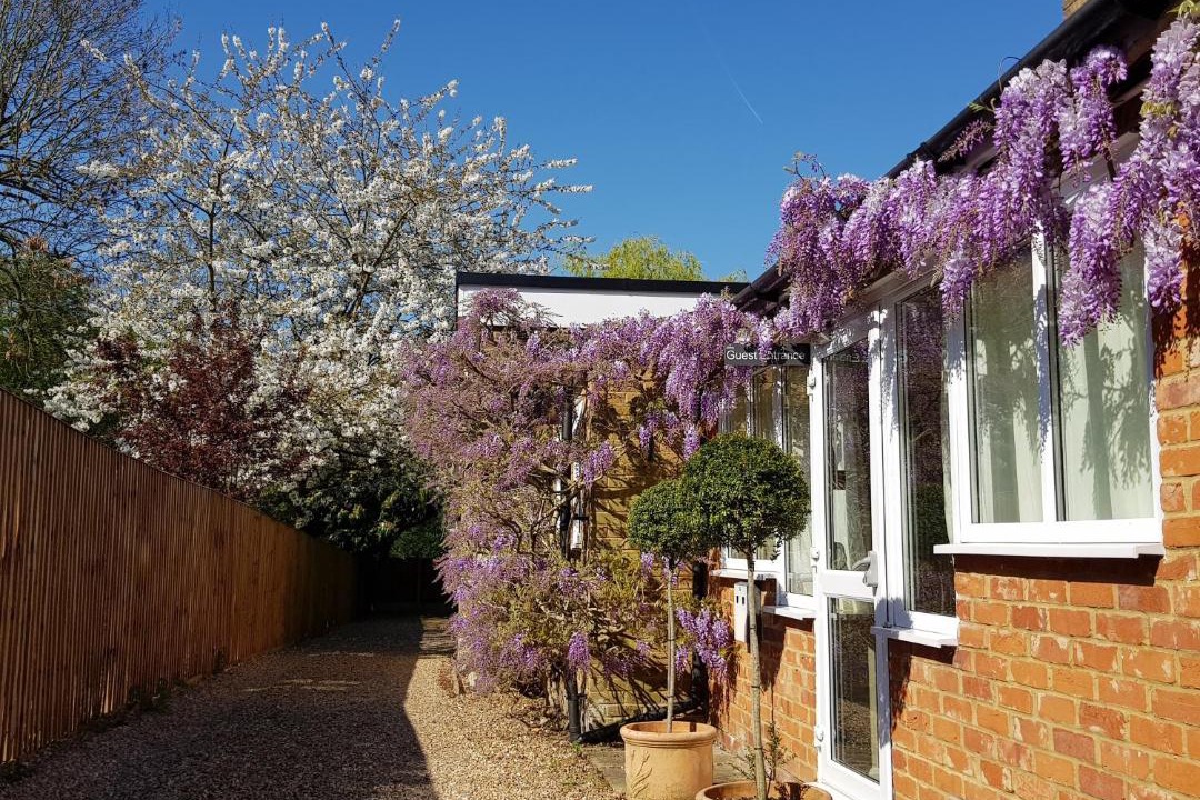 Photo of Others in Maidenhead