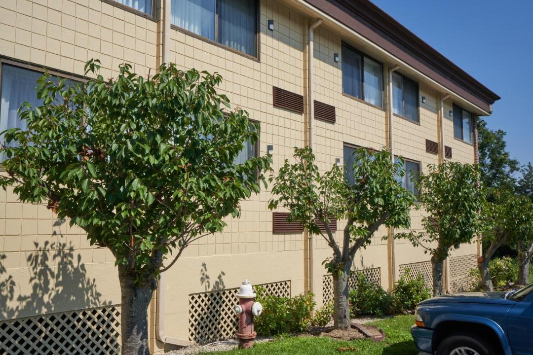 Photo of Others in Somerset