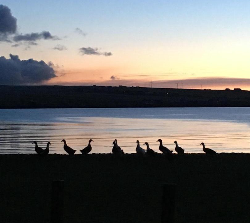 Photo of Outdoor in Burray Village