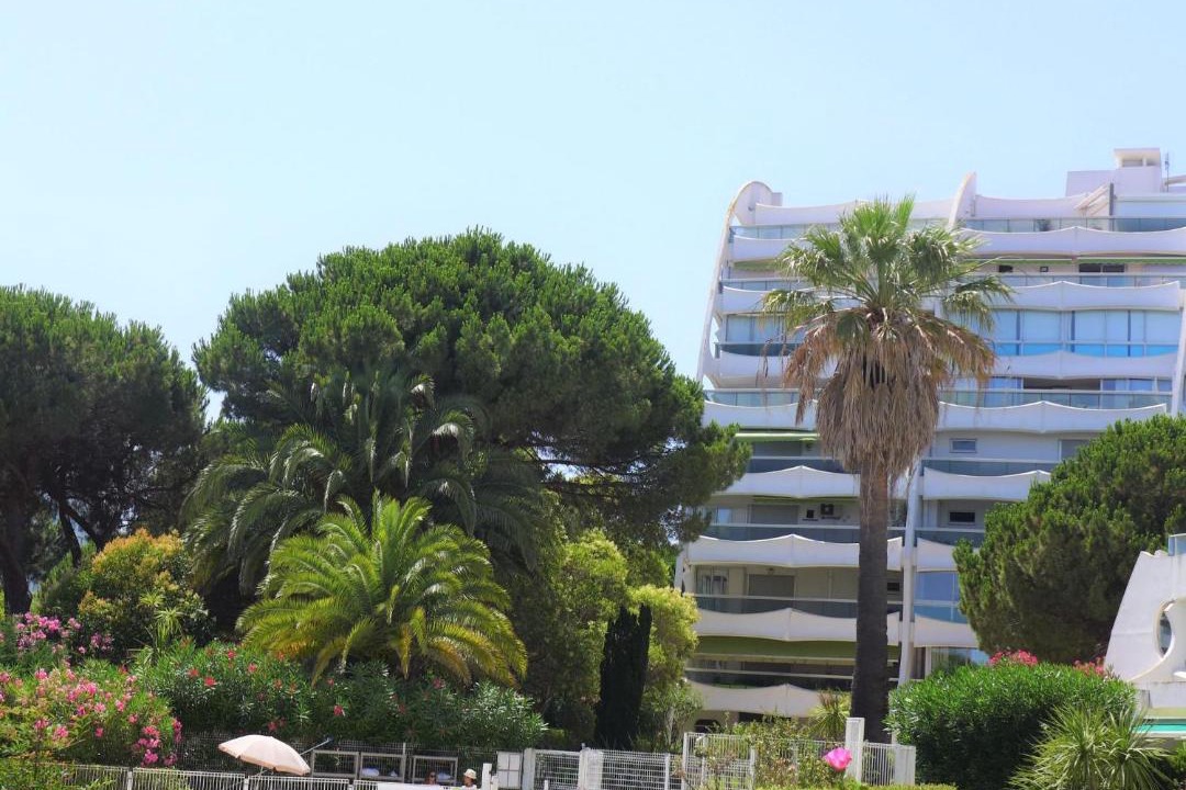 Photo of Others in La Petite Motte