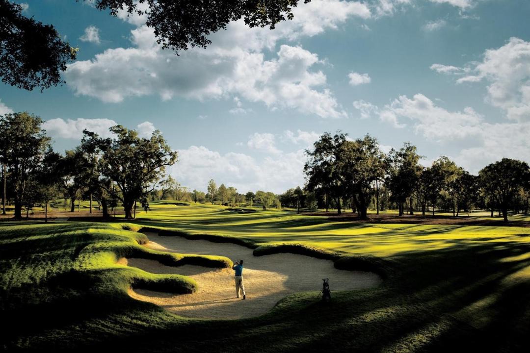 Photo of Others in Gulfport