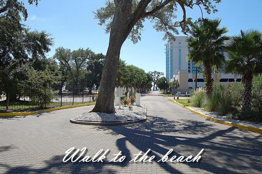 Photo of Others in Gulfport