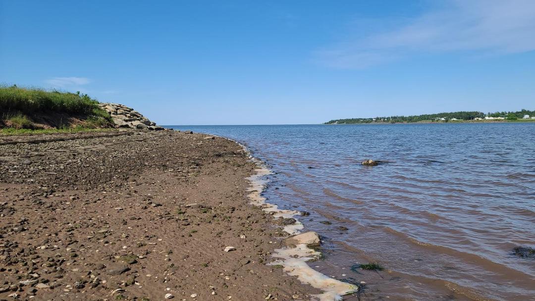 Photo of Others in Saint-Joseph-de-Kent