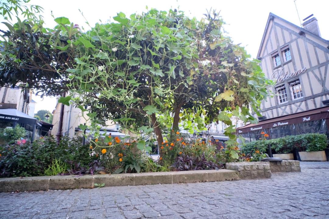 Photo of Others in Vaugueux
