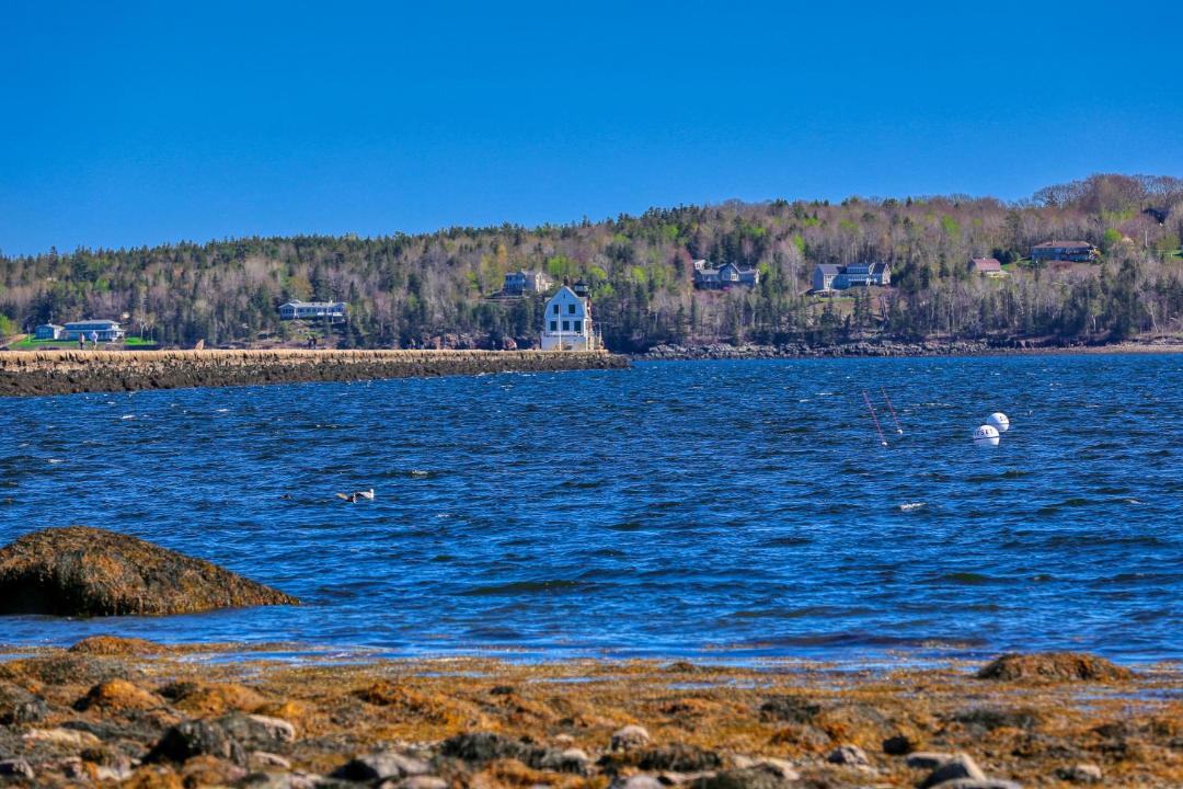 Photo of Others in Tenants Harbor