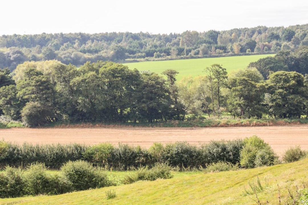 Photo of Outdoor in Spofforth