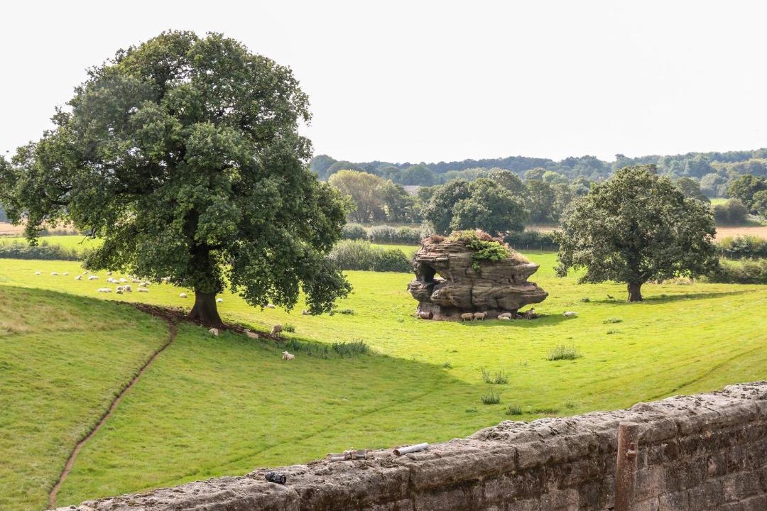 Photo of Others in Spofforth