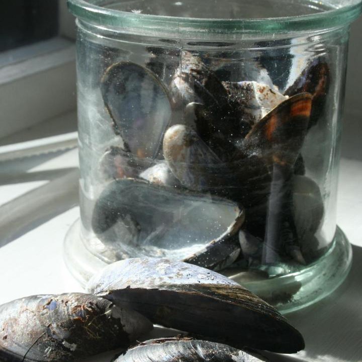 Photo of Others in Svendborg