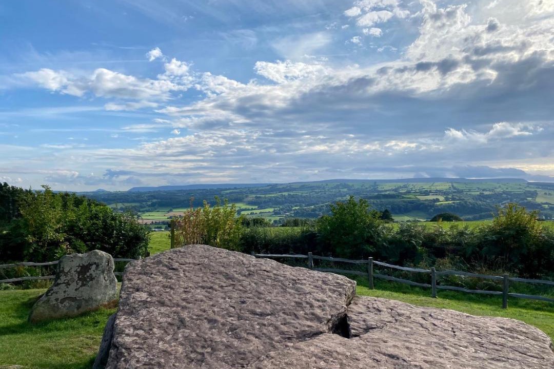 Photo of Others in Westbrook Court