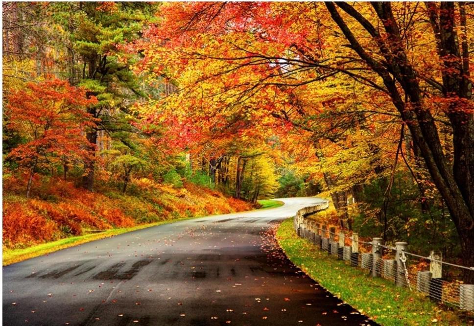 Photo of Outdoor in Lancaster