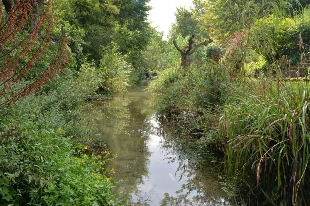 Photo of Others in Wantage