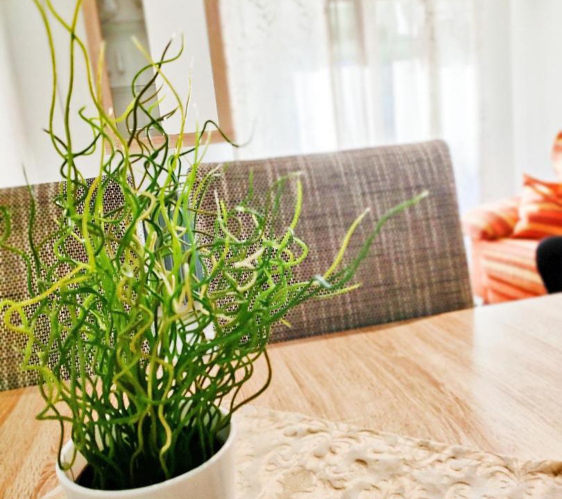 Photo of Livingroom in Tarancon