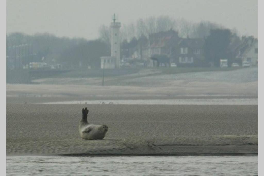 Photo of Others in Favieres