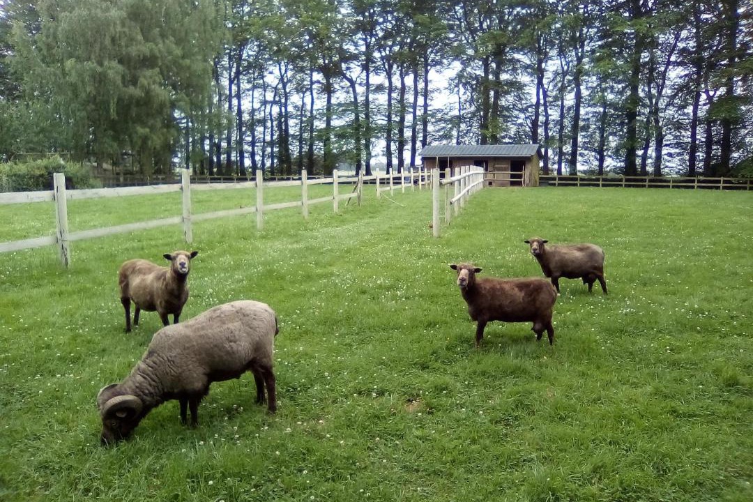 Photo of Others in Vergetot