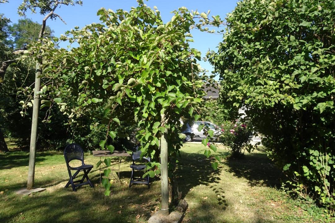 Photo of Outdoor in Quincay