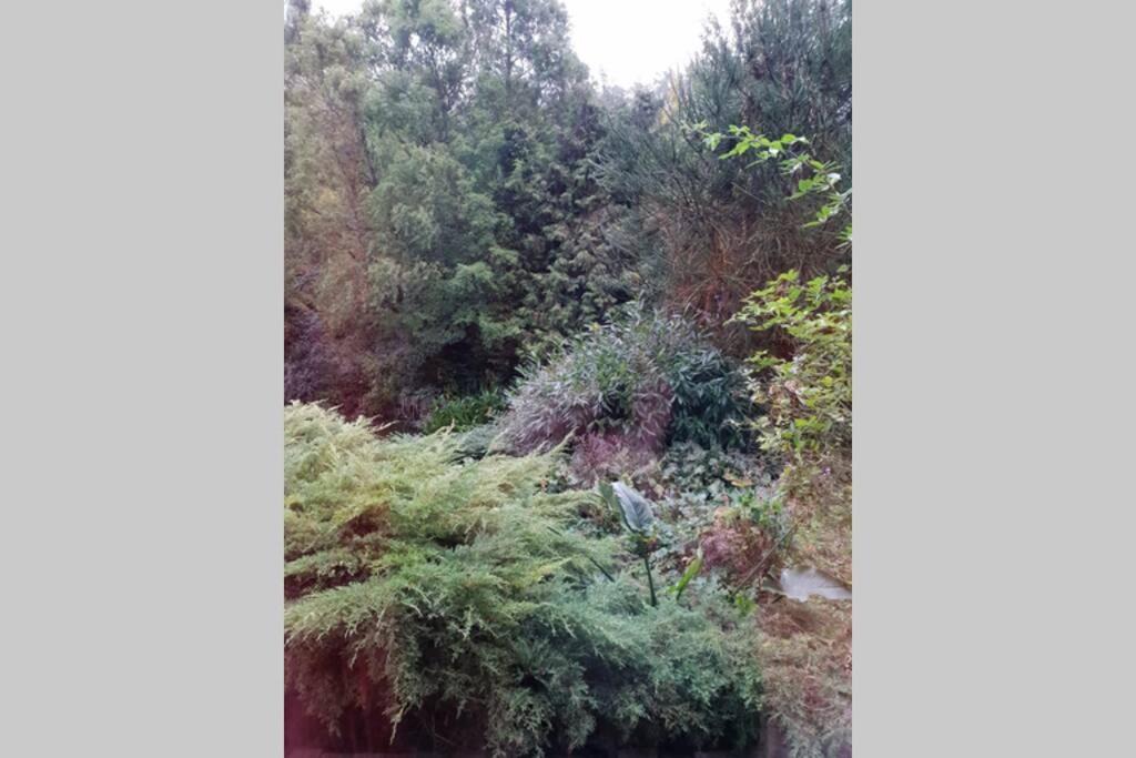 Photo of Others in Erquinghem-Lys