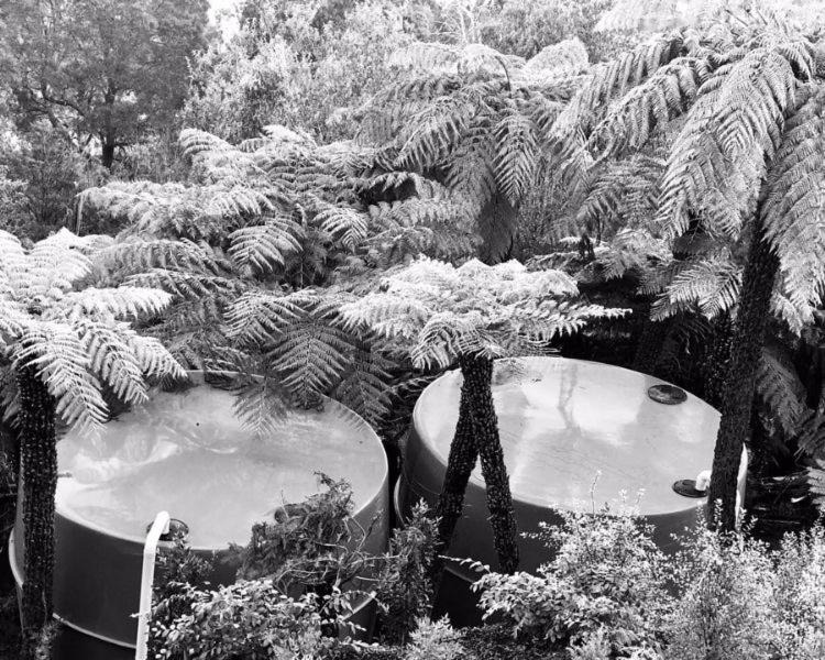 Photo of Others in Menzies Creek