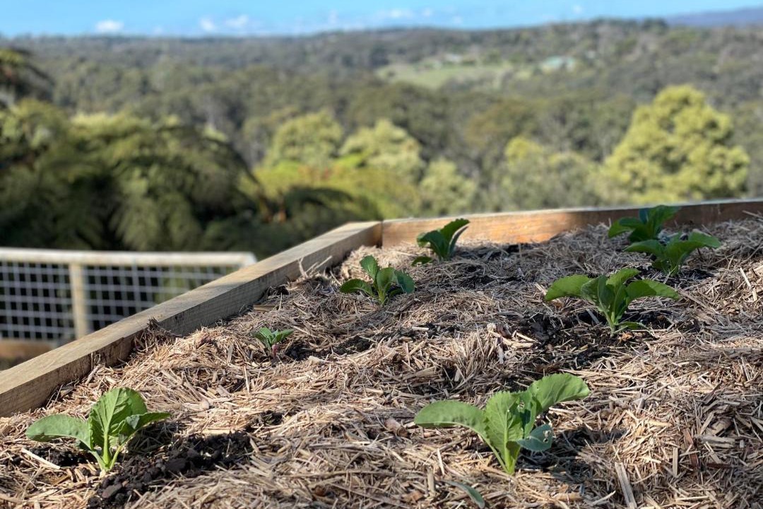 Photo of Others in Menzies Creek
