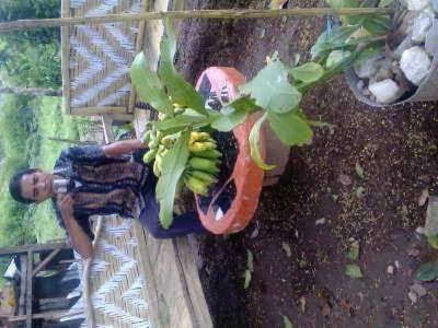 Photo of Patio Balcony in Ruteng