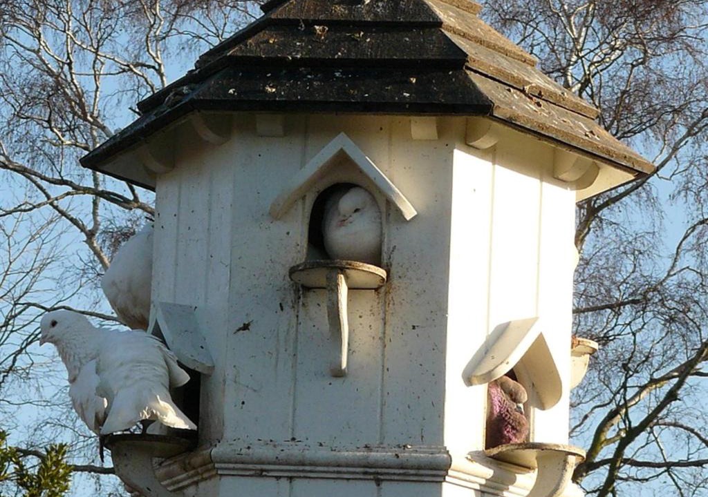 Photo of Others in Hinxton