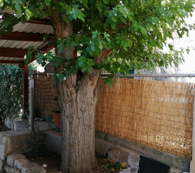 Photo of Others in Podstrazje