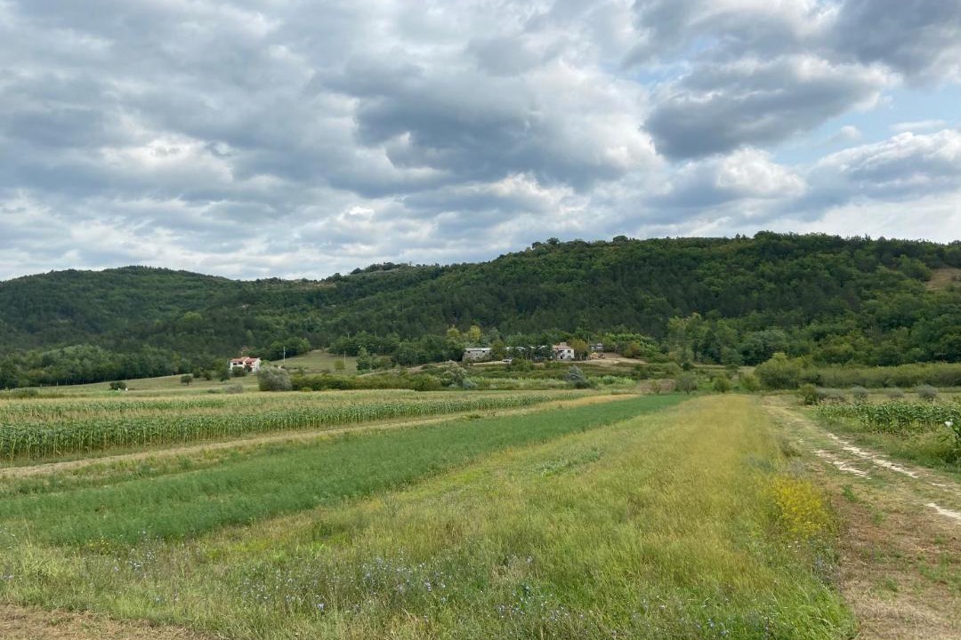 Photo of Outdoor in Krbune