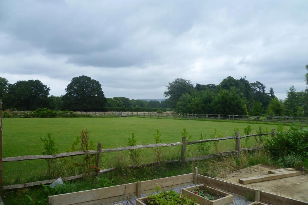 Photo of Others in Haslemere