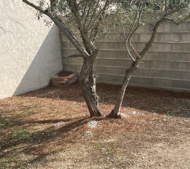 Photo of Others in Montfavet