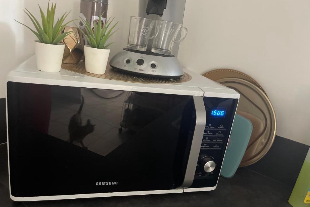 Photo of Others in Montfavet