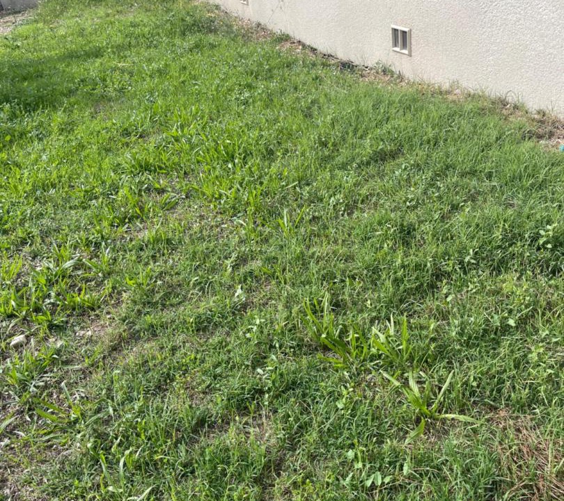 Photo of Others in Montfavet