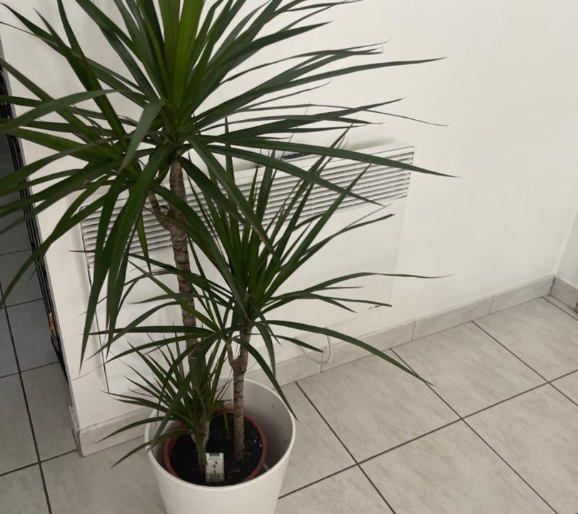 Photo of Others in Montfavet