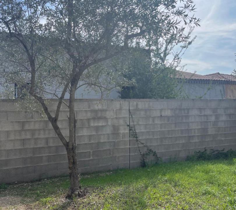 Photo of Others in Montfavet