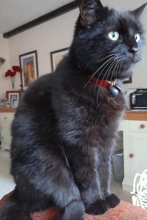 Photo of Others in Bournemouth