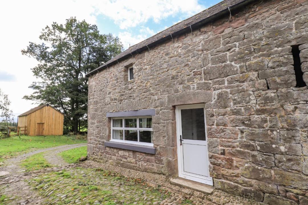 Photo of Others in Wing