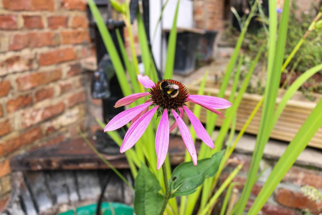 Photo of Others in Stillingfleet