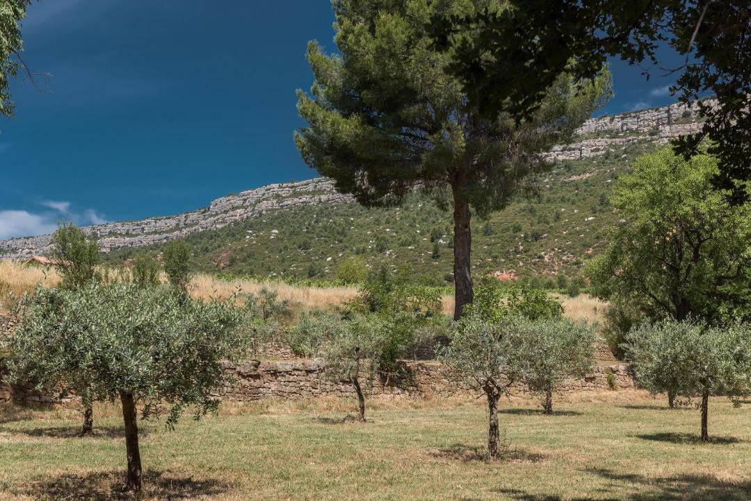 Photo of Others in Chateauneuf-le-Rouge