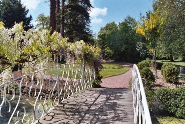 Photo of Others in Francueil