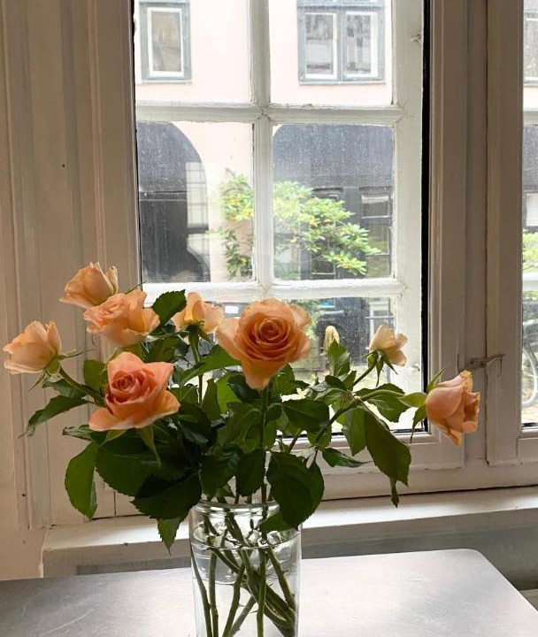 Photo of Livingroom in Copenhagen City Centre