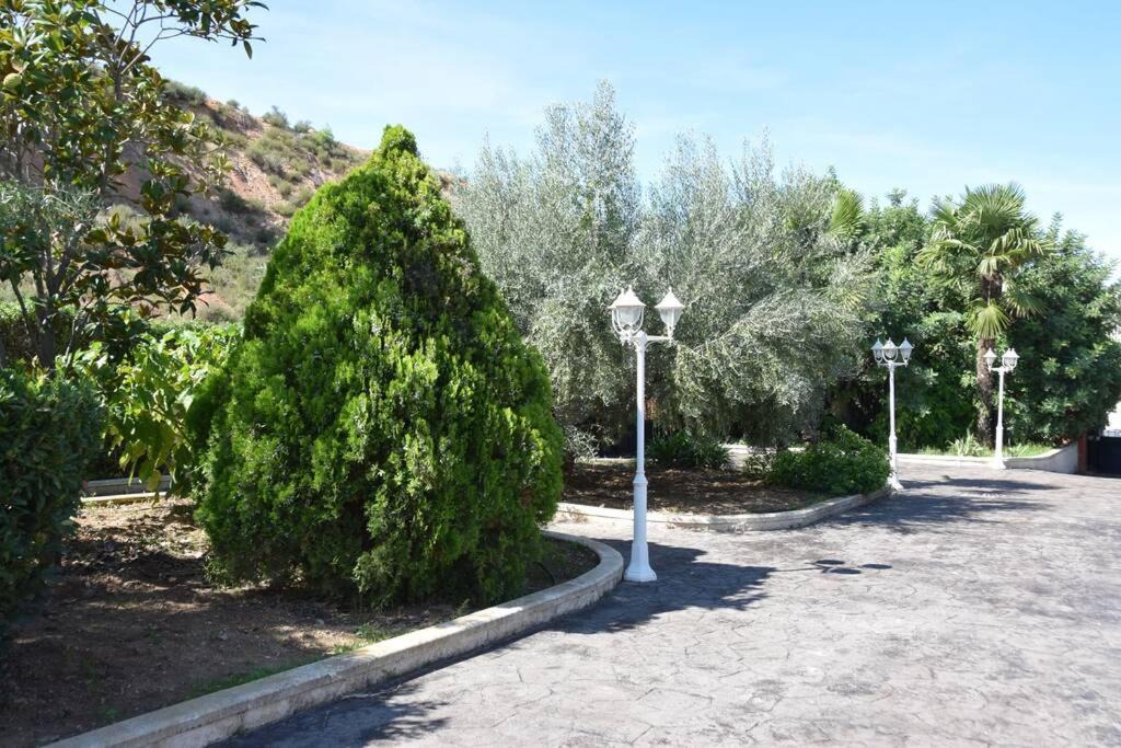 Photo of Outdoor in Castellnovo