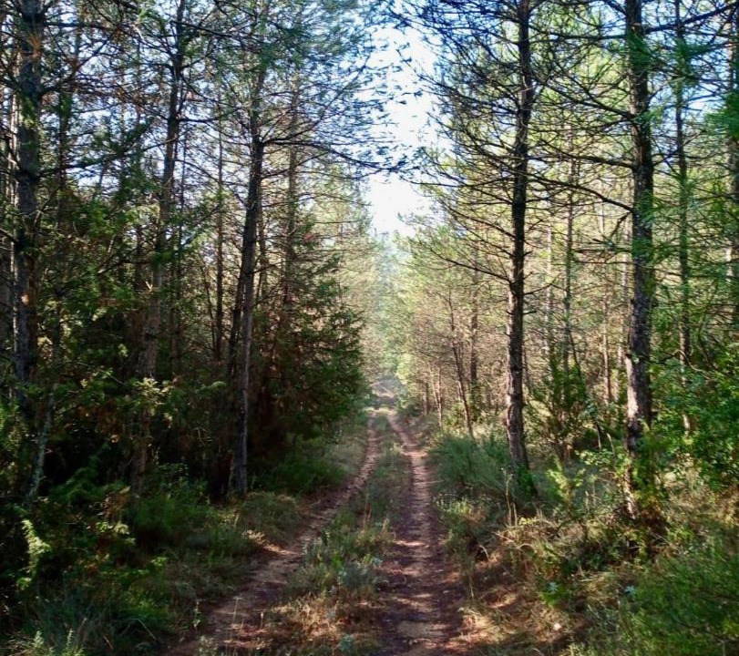 Photo of Others in Artesa de Segre