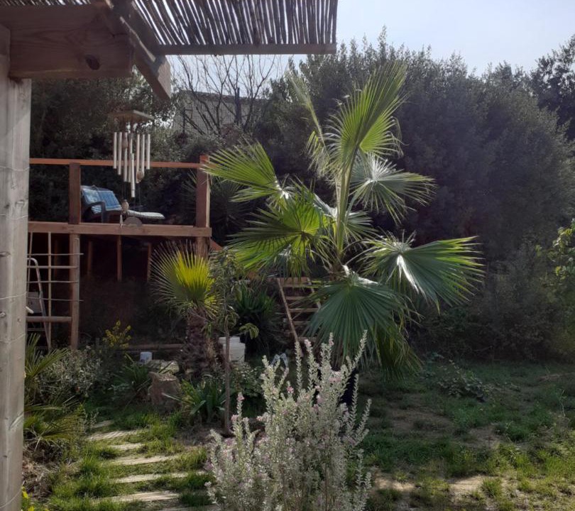 Photo of Others in Lezignan-Corbieres
