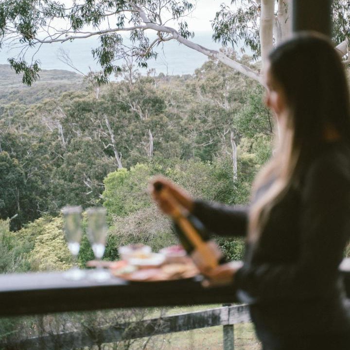 Photo of Human In Picture in Glenaire