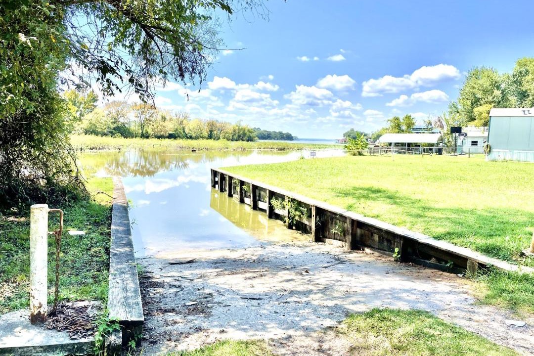 Photo of Others in Willis