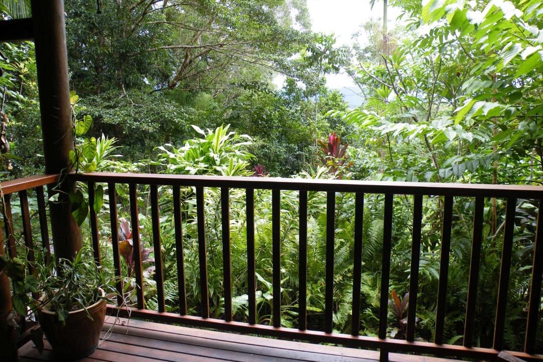 Photo of Others in Cow Bay