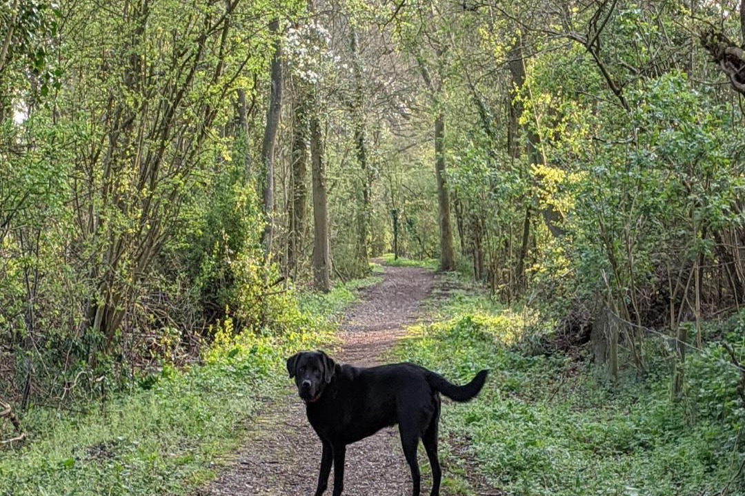 Photo of Others in Much Hadham
