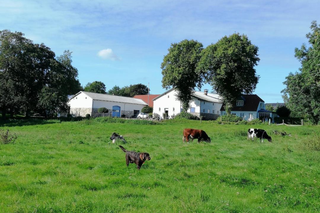 Photo of Others in Rodding